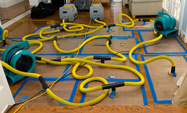 Professional Crawl Space Water Removal technician working in Grove City, MN